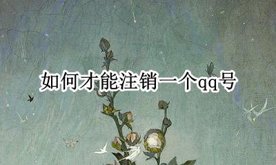 如何注销一个QQ号 如何才能注销一个qq号