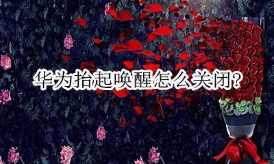华为抬起唤醒怎么关闭? 华为手机怎么关闭抬起唤醒