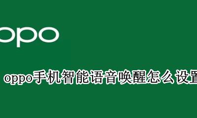 oppo手机如何设置语音唤醒 oppo手机智能语音唤醒怎么设置