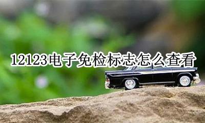 12123电子免检标志怎么查看 12123电子免检标志怎么申请