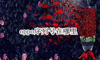 oppo序列号在哪里 oppo手机怎么查看手机序列号