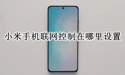 小米的联网控制在哪 小米手机联网控制在哪里设置