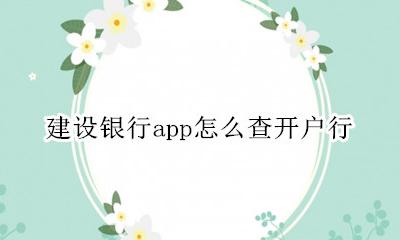 建设银行app怎么查开户行 建设银行app开户行在哪里找