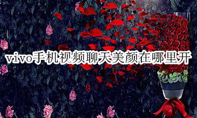 vivo手机视频美颜哪里开 vivo手机视频聊天美颜在哪里开