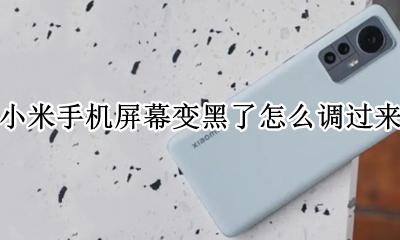 小米手机屏幕变黑了怎么调过来 小米手机屏幕变成黑色的怎么办设置在哪里