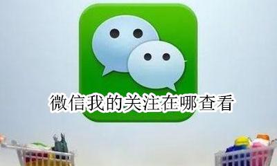 微信我的关注在哪查看 微信我的关注在哪里找到