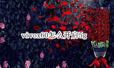 vivox60怎么开启5g vivox60怎么开启sa模式