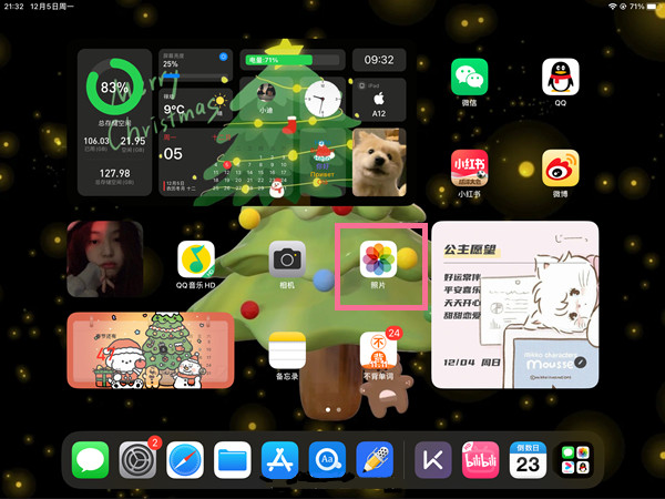 ipad相册最近删除在哪