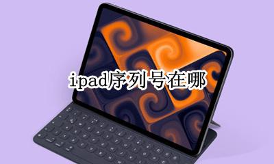 ipad序列号在哪 怎么查看序列号