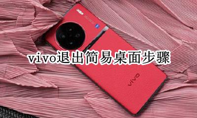vivo退出简易桌面步骤 vivo简易桌面怎么退出