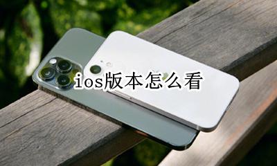 ios版本怎么看 怎么看当前ios版本