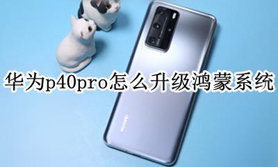 华为p40pro怎么升级鸿蒙系统 升级鸿蒙系统教程