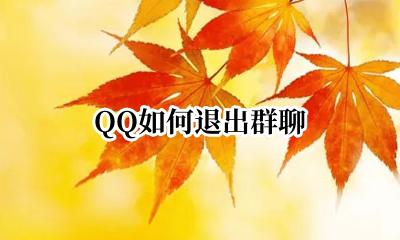 QQ如何退出群聊 如何退出QQ群聊
