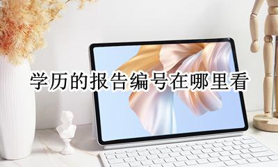 学历的报告编号在哪里看 学历里的报告编号是什么