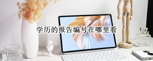 学历的报告编号在哪里看