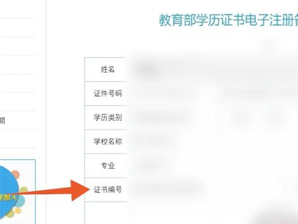 学历的报告编号在哪里看
