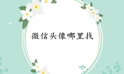 微信头像哪里找 微信用过的头像在哪里找回来