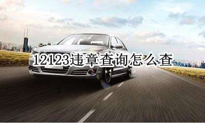 公安123123违章查询 123123违章查询怎么查