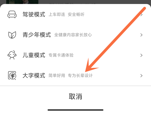 喜马拉雅大字模式怎么调