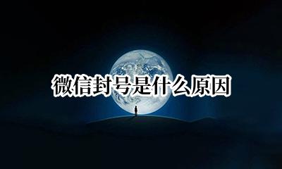 微信封号是什么原因 微信封号是什么原因造成的