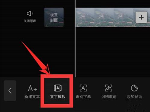剪映字幕动画怎么应用到全部