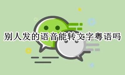 别人的粤语语音变成文字 别人发的语音能转文字粤语吗