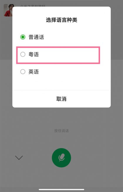 别人发的语音能转文字粤语吗