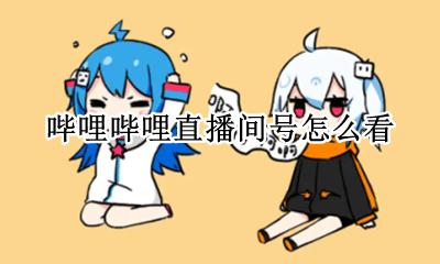 哔哩哔哩直播间号怎么看 哔哩哔哩直播间怎么看有多少人
