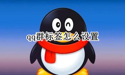 怎样设置群标签 qq群标签怎么设置