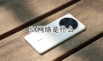 网络sa是啥 SA网络是什么
