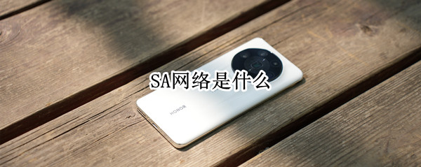 SA网络是什么