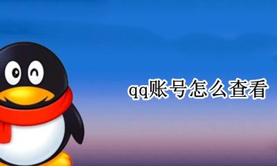 qq账号怎么查看 qq账号在哪查看