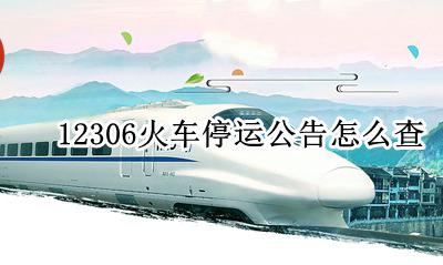 12306火车停运公告查询 12306火车停运公告怎么查