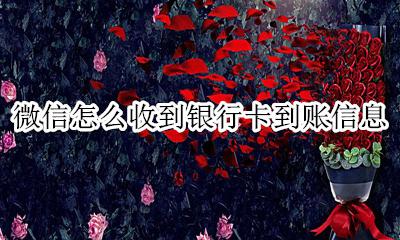 微信怎么收到银行卡到账信息 微信如何收到银行卡动账信息