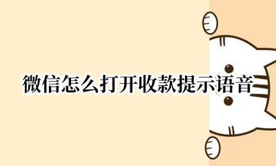 微信怎么打开收款提示语音 怎么开启微信收款语音提示
