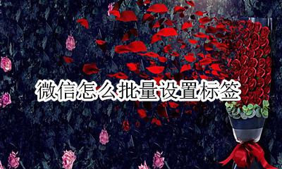 微信怎么批量设置标签 微信批量设置标签时怎么挑选已标签过的