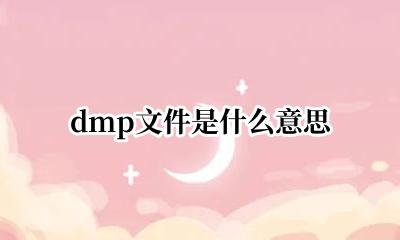 dmp文件是什么意思 dmp文件是什么格式文件
