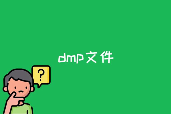dmp文件是什么意思