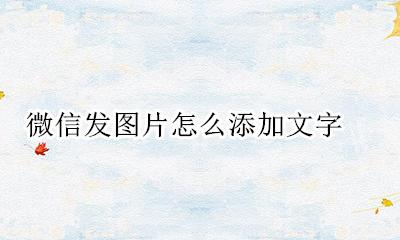 微信发图片怎么添加文字 发微信时怎样才能在图片上添加文字