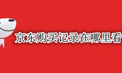 京东购买记录在哪里看 如何查看京东购买记录