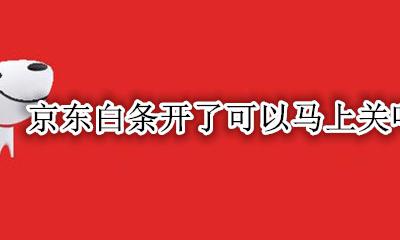 京东白条开了可以关么 京东白条开了可以马上关吗