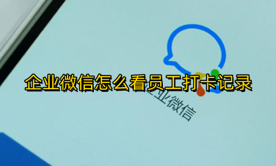 企业微信怎么看员工打卡记录 企业微信如何看员工打卡记录