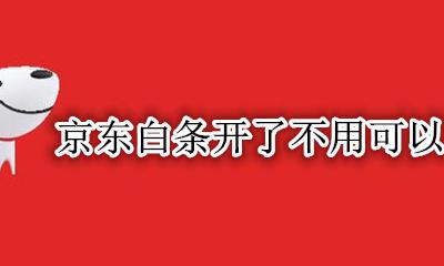 京东白条为啥不能开 京东白条开了不用可以吗