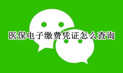 医保电子缴费凭证怎么查询 怎么查询医保电子凭证里面的余额和交费记录
