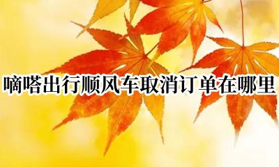 嘀嗒出行顺风车怎么取消订单 嘀嗒出行顺风车取消订单在哪里