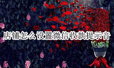 店铺怎么设置微信收款提示音 微信设置收款提示音怎么设置