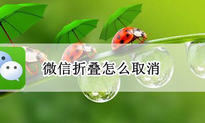 微信折叠怎么取消 微信折叠群聊怎么取消