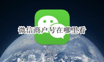 微信商户号在哪里看 微信支付商户号在哪看