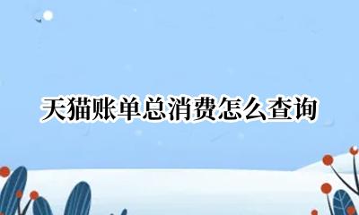 天猫如何查看消费账单 天猫账单总消费怎么查询