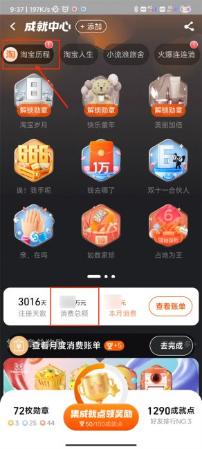 天猫账单总消费怎么查询